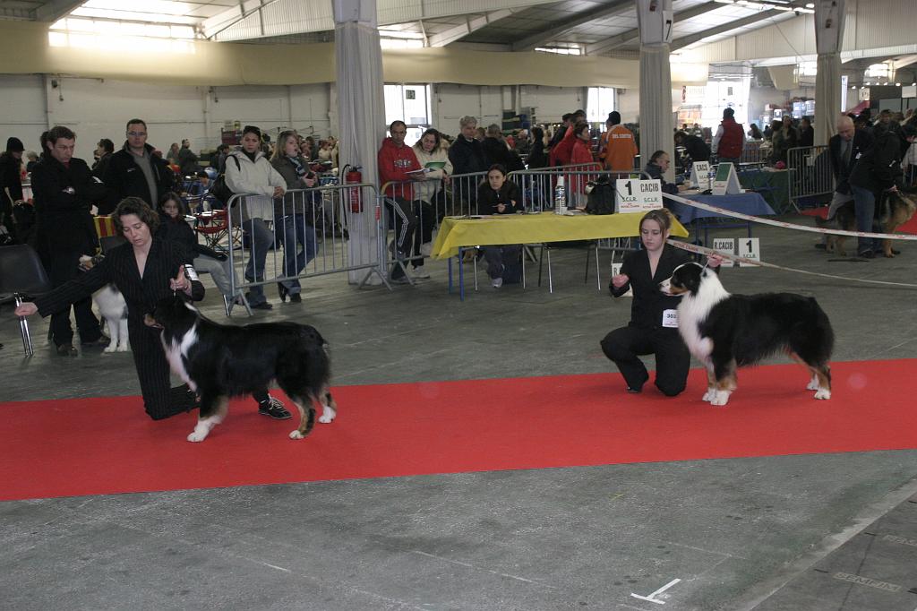 Montpellier2008034.JPG