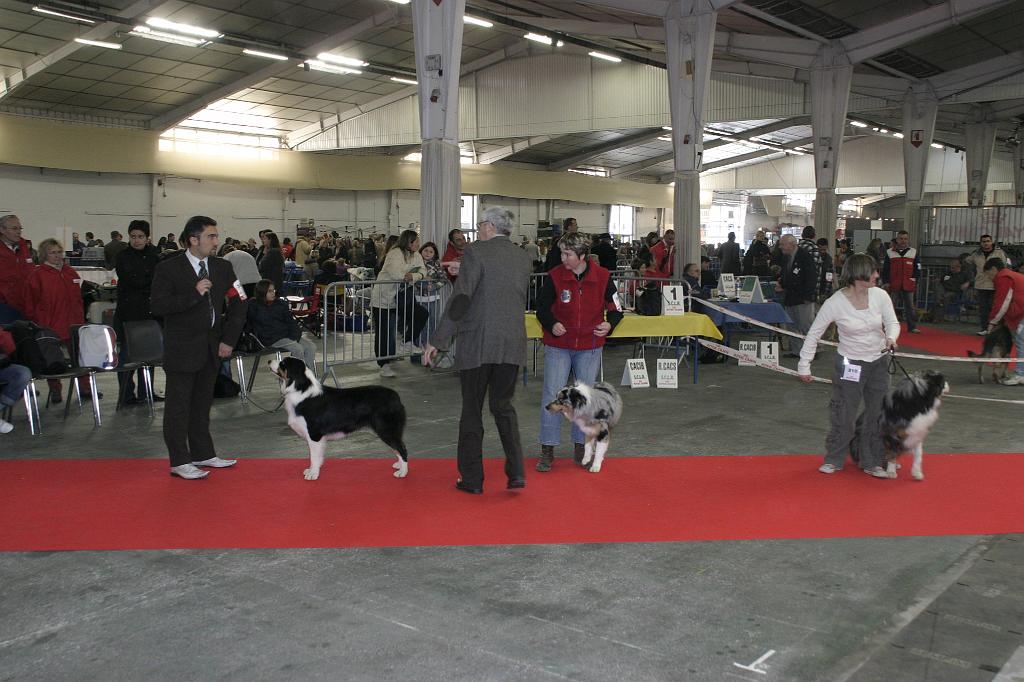 Montpellier2008061.JPG