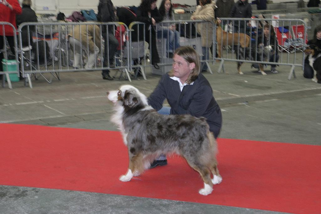 Montpellier2008093.JPG