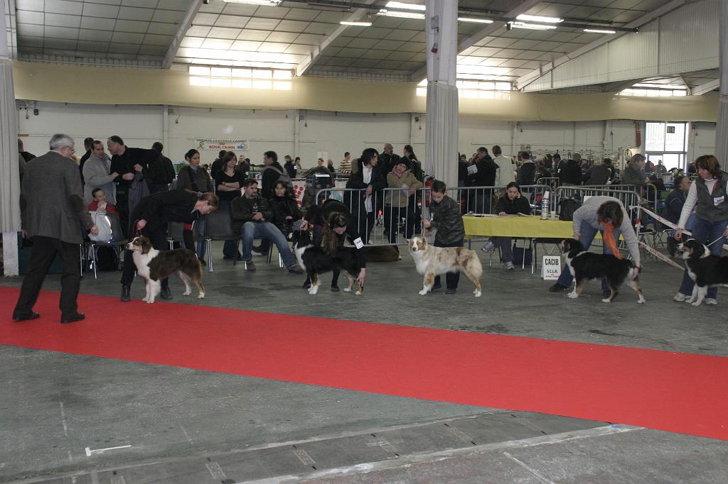 Montpellier2008107.JPG