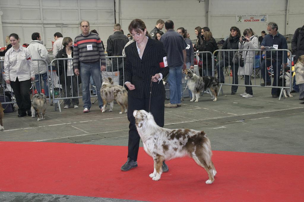 Montpellier2008129.JPG