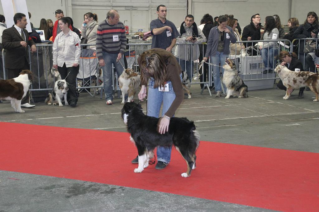 Montpellier2008139.JPG