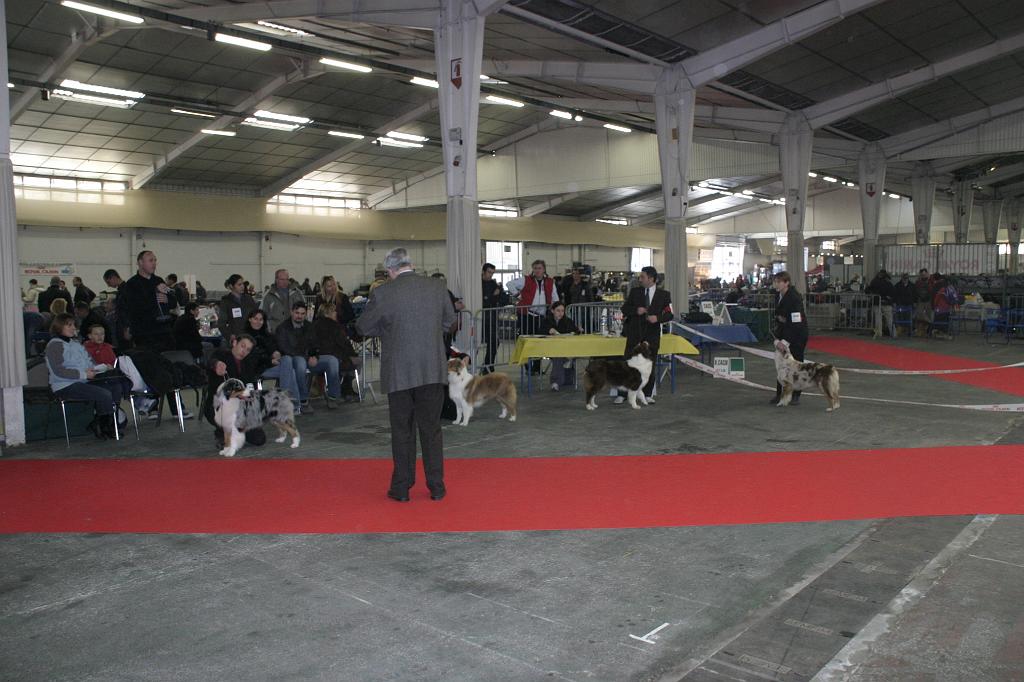 Montpellier2008147.JPG