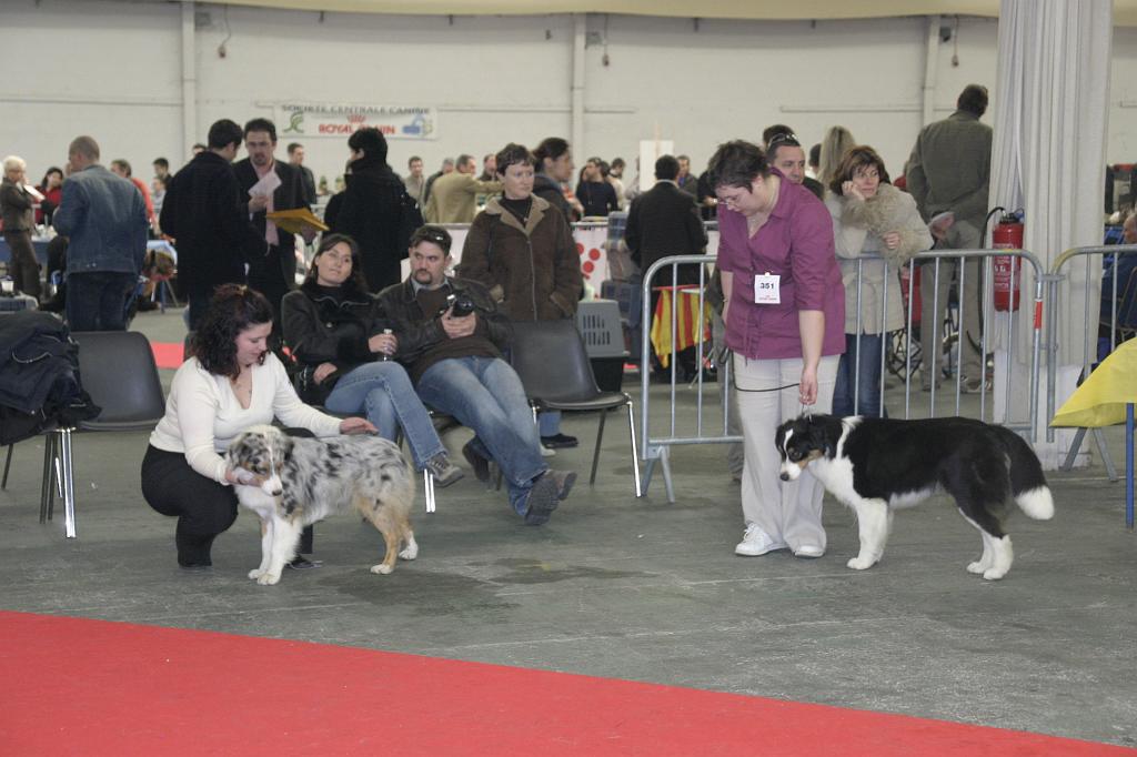 Montpellier2008204.JPG