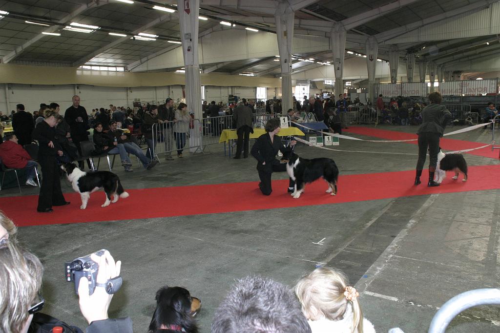 Montpellier2008212.JPG