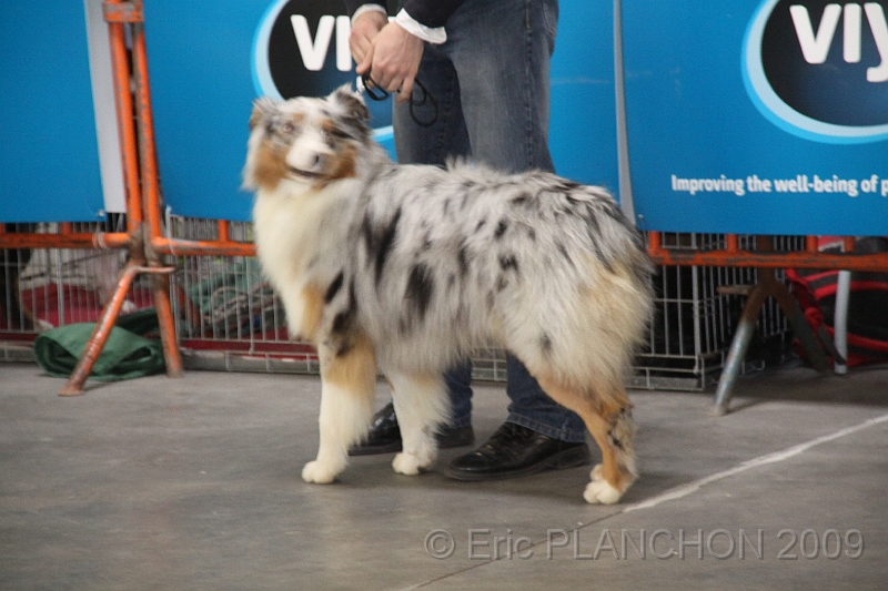 Mouscron_2009-0028.JPG