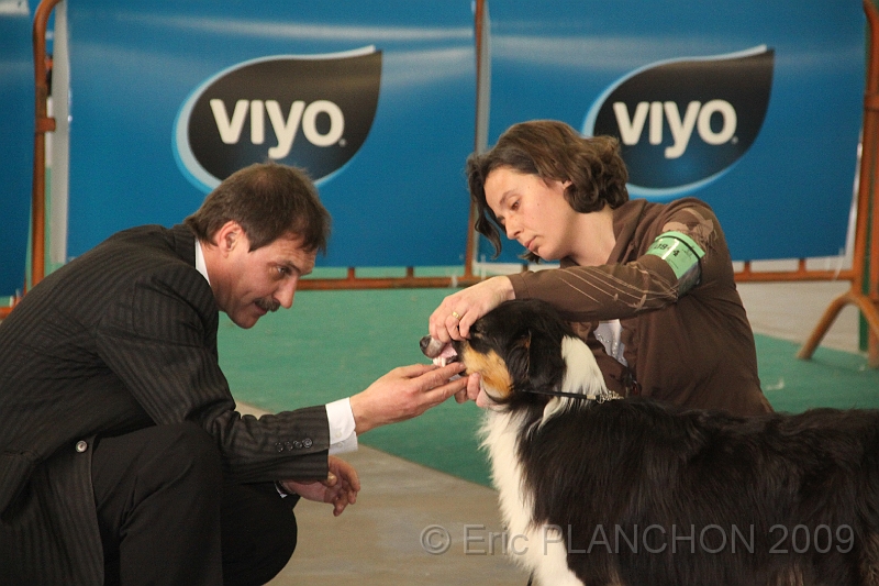 Mouscron_2009-0036.JPG