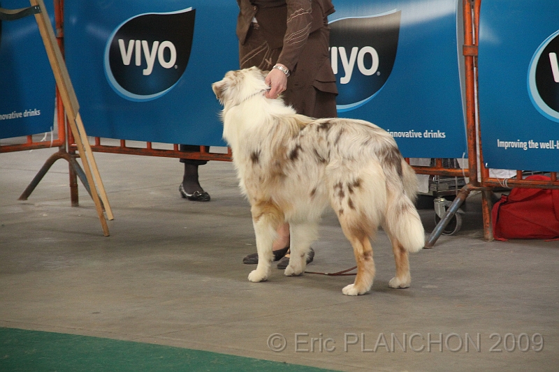 Mouscron_2009-0050.JPG