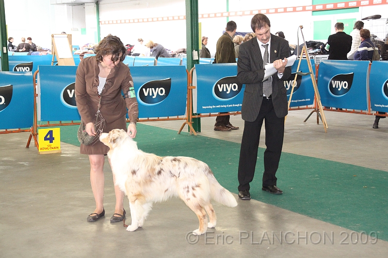 Mouscron_2009-0056.JPG