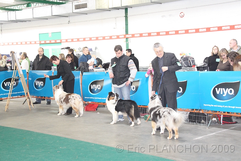 Mouscron_2009-0076.JPG