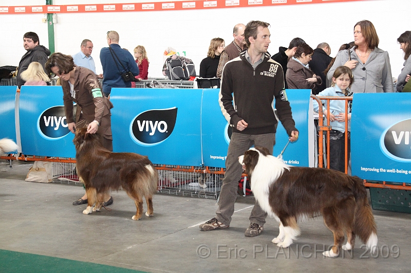 Mouscron_2009-0081.JPG
