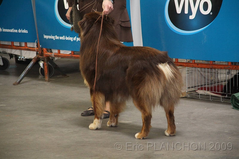 Mouscron_2009-0089.JPG