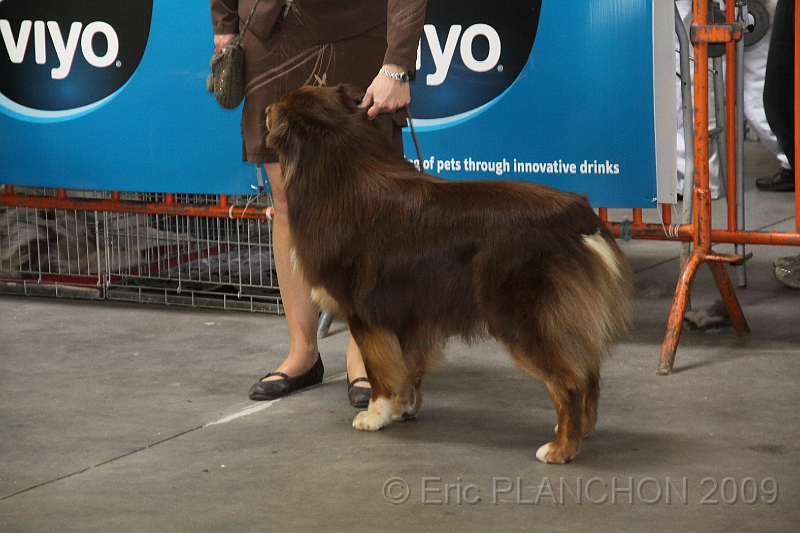 Mouscron_2009-0095.JPG