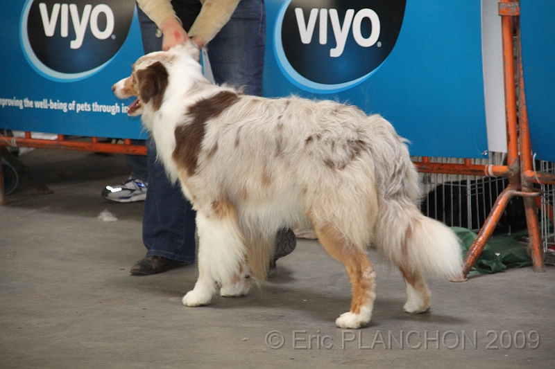 Mouscron_2009-0102.JPG