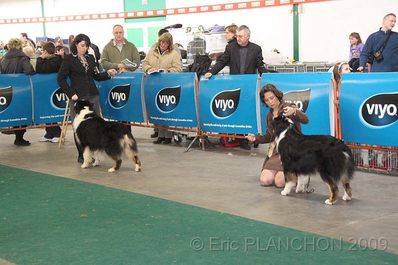 Mouscron_2009-0108.JPG
