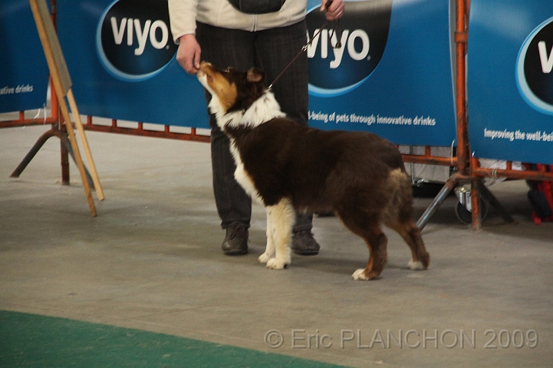 Mouscron_2009-0131.JPG