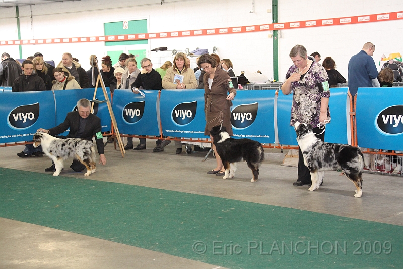 Mouscron_2009-0188.JPG