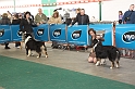 Mouscron_2009-0108