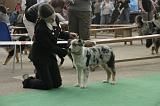 IMG_1081