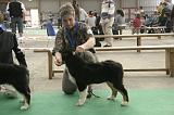 IMG_1084