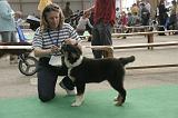 IMG_1086
