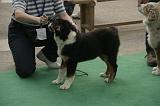 IMG_1092