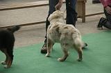 IMG_1093