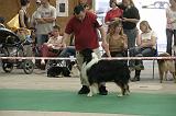 IMG_0992