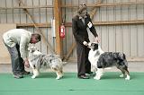 IMG_0955