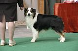IMG_0959