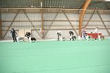 IMG_0966