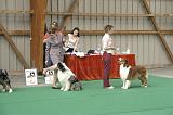 IMG_0969
