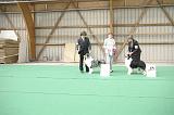 IMG_0971