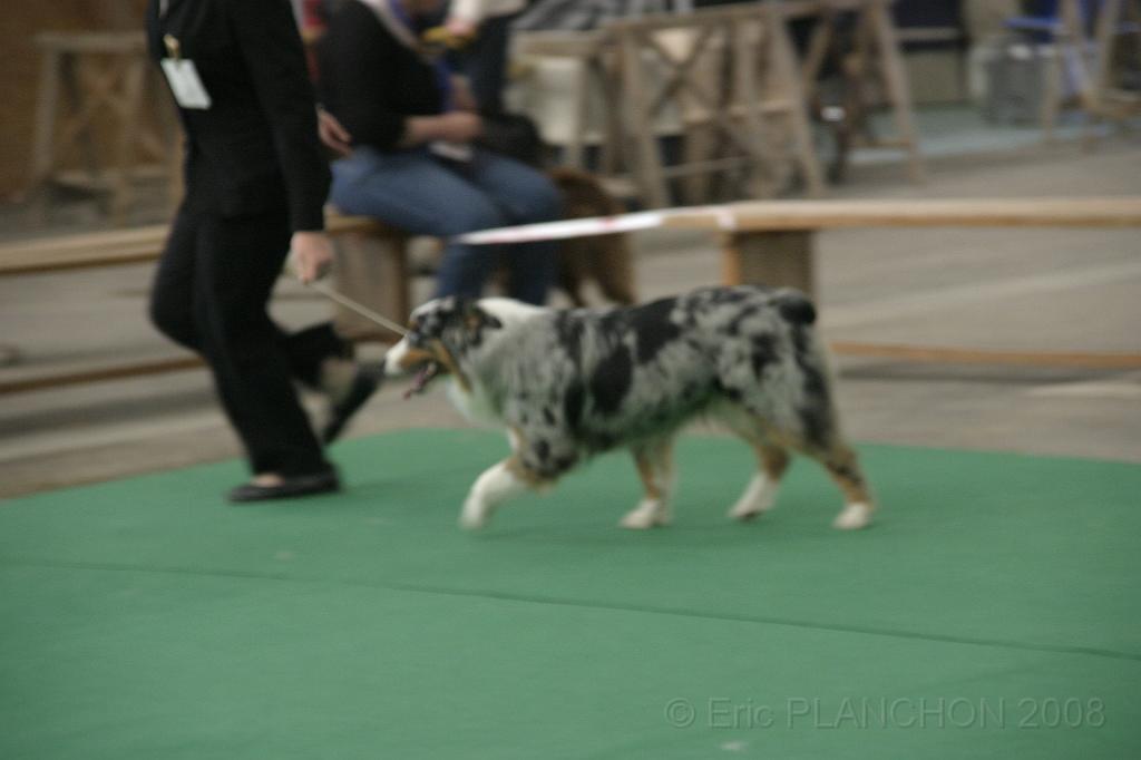 IMG_1144.JPG