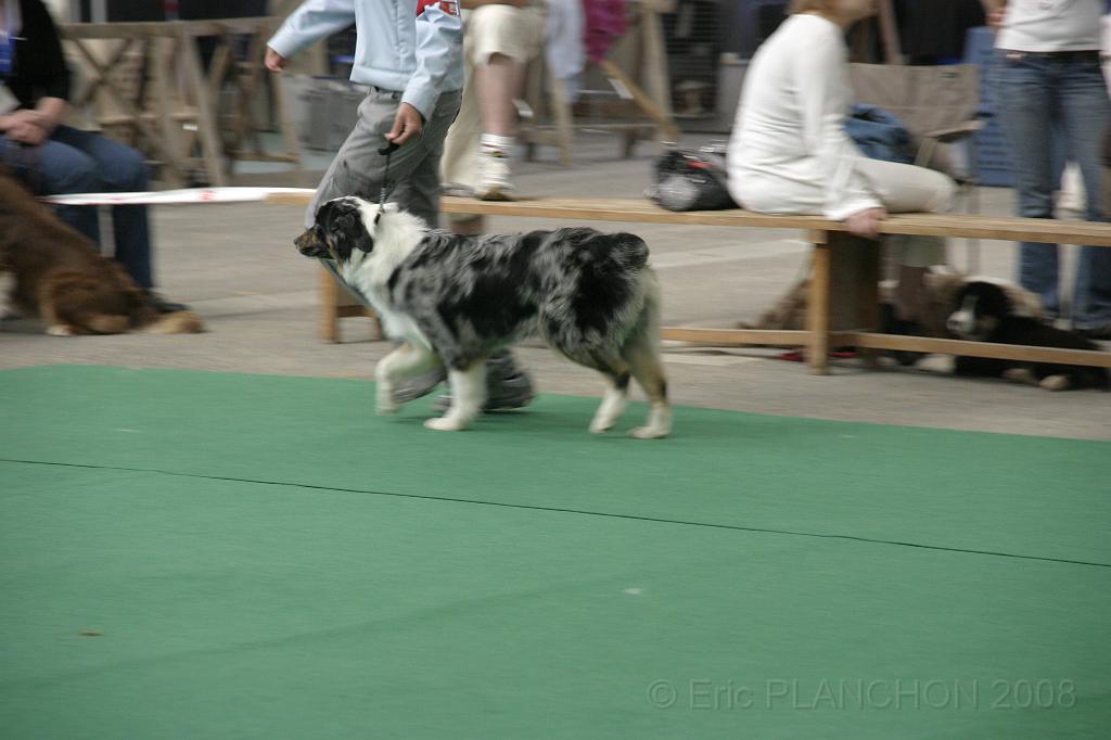 IMG_1231.JPG