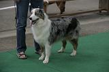 IMG_1106