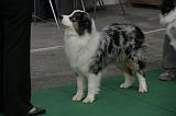 IMG_1111