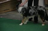 IMG_1113