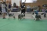 IMG_1115
