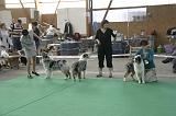 IMG_1117