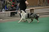 IMG_1129