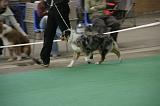 IMG_1145
