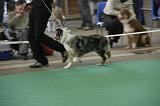 IMG_1147