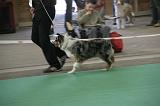 IMG_1148