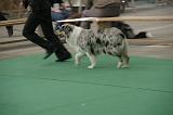 IMG_1154