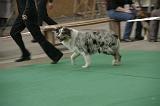 IMG_1155