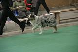 IMG_1156