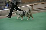 IMG_1157