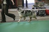 IMG_1164