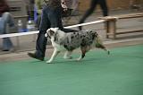 IMG_1166